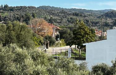 Olympia House Dionisos and Dimitra II - Foto 33