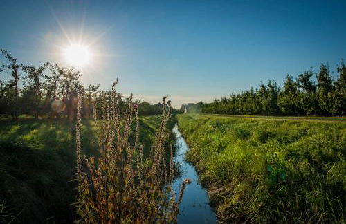 Deichkrönchen Ferienwohnung Altes Land Hamburg - Foto 21