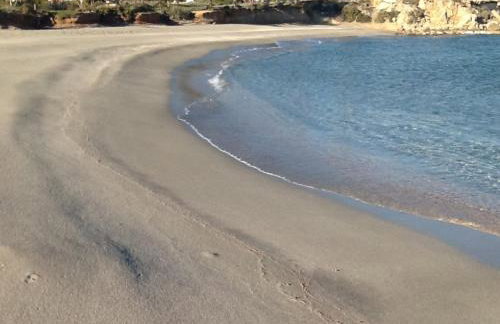 Liviko View - Foto 10