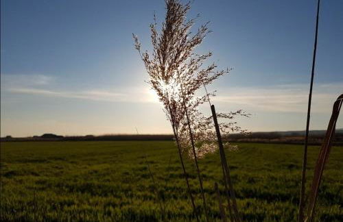 Gaia - Mare, Lago di Bolsena e Terme di Vulci - Foto 46