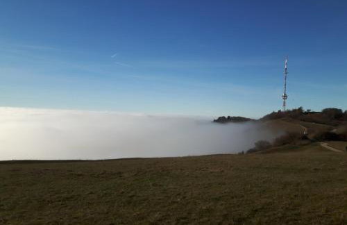 Ferienwohnung Birnbaum - Foto 3