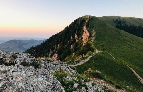 Ferienwohnung Balkonien - Foto 75
