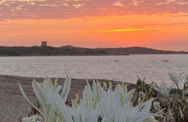 Sardegna segreta a pochi passi dal mare - Foto 66