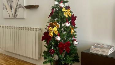 Los Magnolios de Laín Calvo - Foto 4