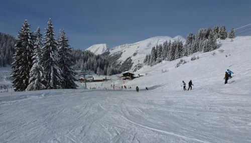 Les Fledd's - Photo 3