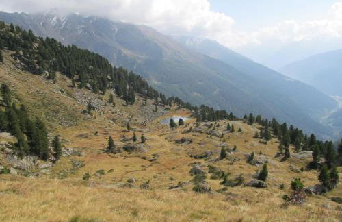 B&B Mas di Zonadi - Foto 33