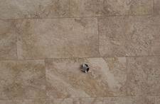 The Sunflower - Foto 19