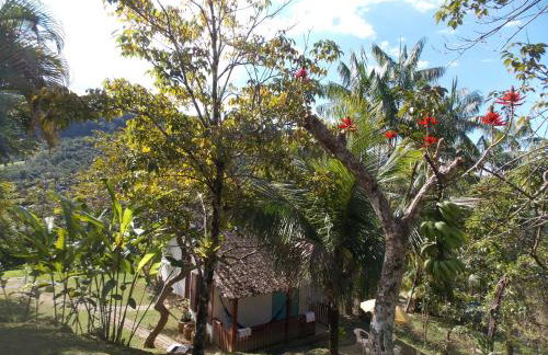 Sítio Cumuru - Foto 7