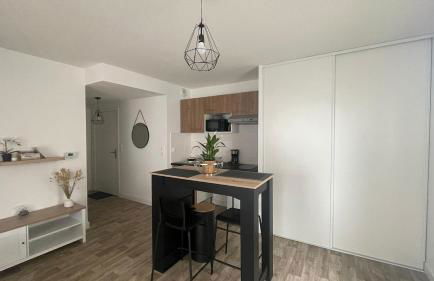 Appartement Cosy et chaleureux proche des grandes entreprises Toulousaine - Photo 38