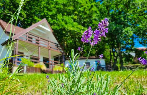 Kolonijna Park - Foto 9