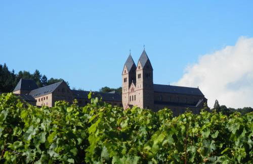 Rheingauer Fewo am Schulhaus - Foto 27