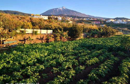 Finca Los Angeles - Foto 28