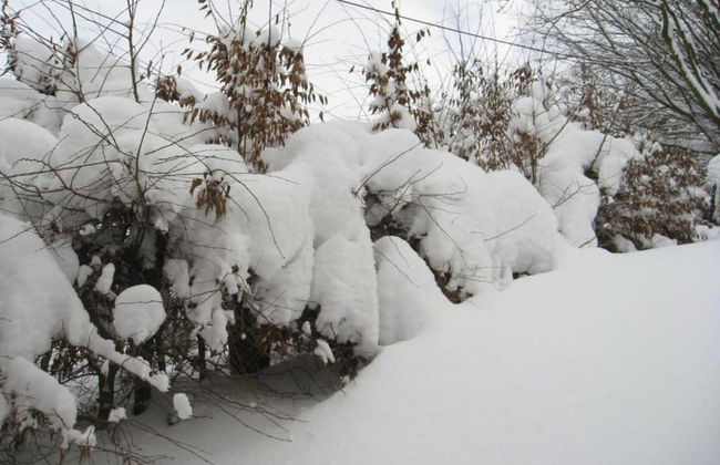 Wohnung in Brilon mit Kleinem Garten - Foto 18