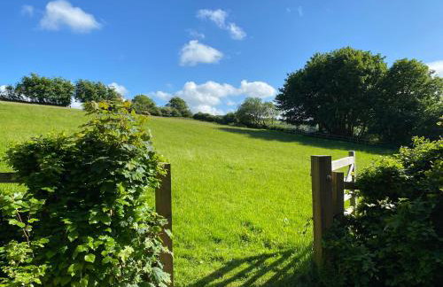 North Devon Coast Near Lynmouth -Sleeps 9 - Photo 20