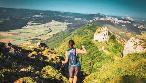 Suite Curry - Photo 4