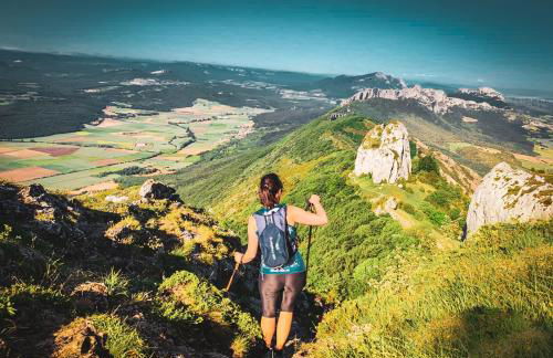 Suite Curry - Photo 4