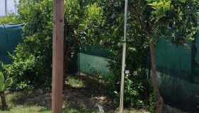 Els Tarongers Perfect for Families or Friends - Foto 4, Shower