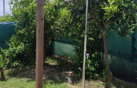 Els Tarongers Perfect for Families or Friends - Foto 4