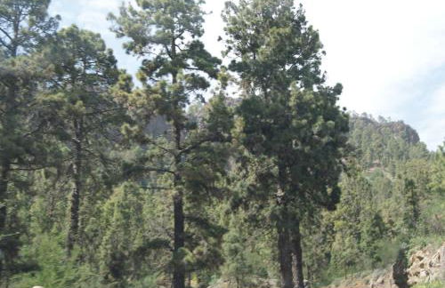 La Puerta del Sol - Foto 61