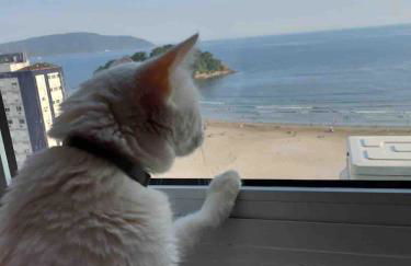 Frente ao Mar Living Aconchegante pet friendyr - Foto 55