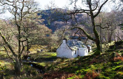 Sawmill Cottage - Photo 8