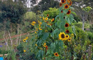 Casa aconchegante na roça c/ piscina/churrasqueira - Photo 24