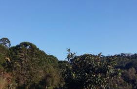 Recanto da Natureza- Chalé - Foto 50