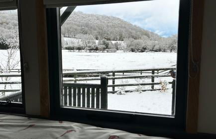 Shepherds hut, Eco, Log burner Hot tub NY moors - Foto 8