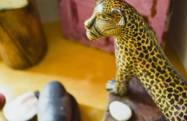 Casa Francisco - Foto 8