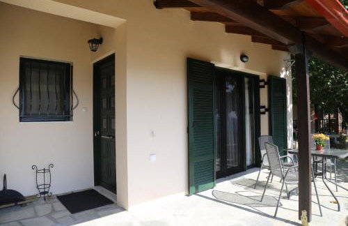 Morchella MushROOM - Foto 3