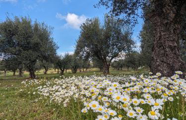 Bungalows with private pools "Tales of the Soul - Της Ψυχής Τα Παραμύθια" - Foto 22
