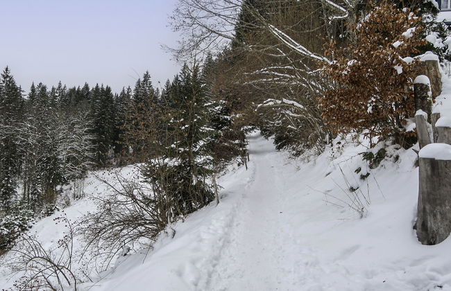 Kesslerberg - Foto 26