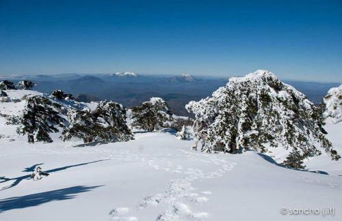 Tana di Zia Nature, Yourself, Love - Foto 33