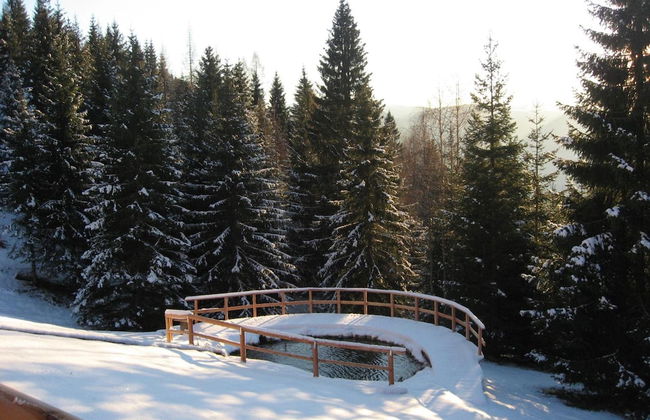 Chalet nel Doch - Foto 28