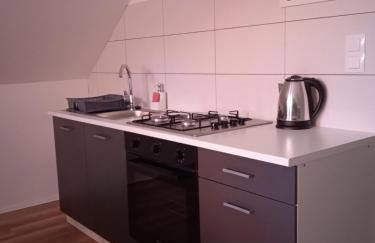 Seoski turizam Stari mlin na Korani apartment 1 - Foto 12