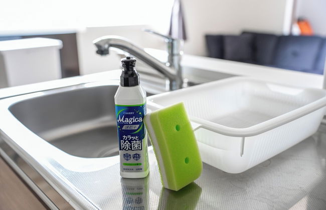 SERAPHIC 101 - Foto 21