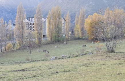 Tuhogarencerler parking y taquilla en pistas - Foto 39