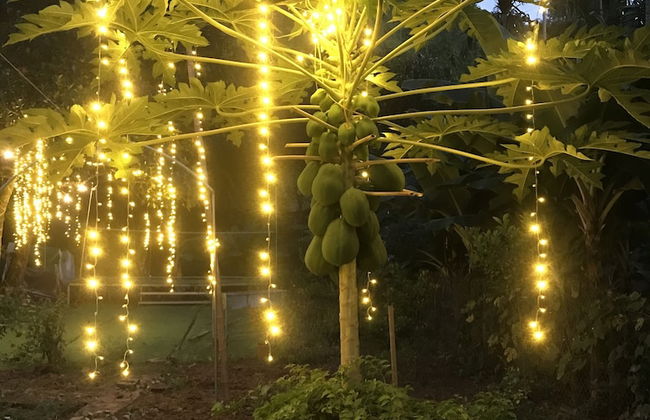 Bee Lucky Homestay - Photo 46