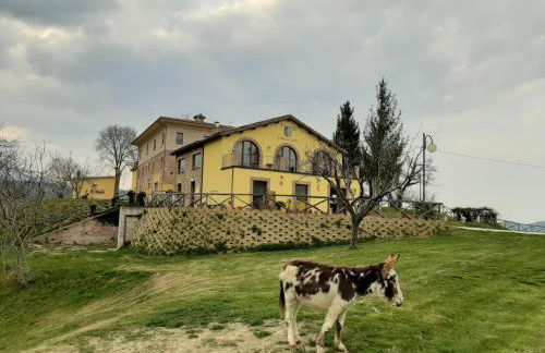 Agriturismo Antica Corte - Foto 4