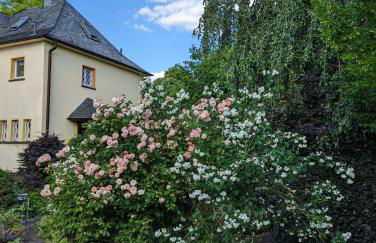 HEIDEWAY KOMPLETTE Wohnung FREI Parken TOP Anbindung A46 - Foto 10