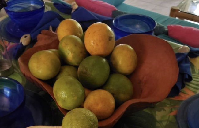 Seacret Studios - Cozy Jamaican Retreat Apts by RedAwning - Photo 12