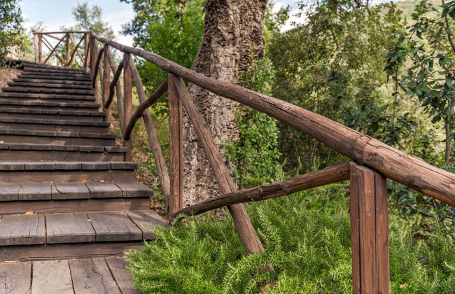 Mezzo Ortano - Foto 37