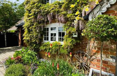 Little Woodside a beautiful New Forest self contained private luxury annexe - Foto 23