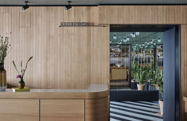 Schwan Locke - Foto 2