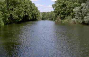 Storchennest an der Spree in Radinkendorf - Foto 73
