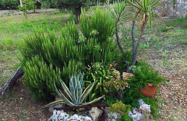 Flower Houses - Foto 31