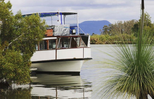 Paseo en barco con avistamiento de aves - Foto 4