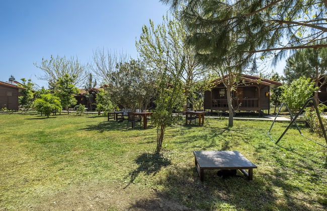 La Maison Hotel Çıralı - Foto 42