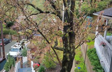 The Castle of Dreams - Foto 50