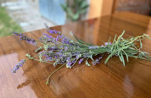 TOT'I Dè BARACA - Photo 38